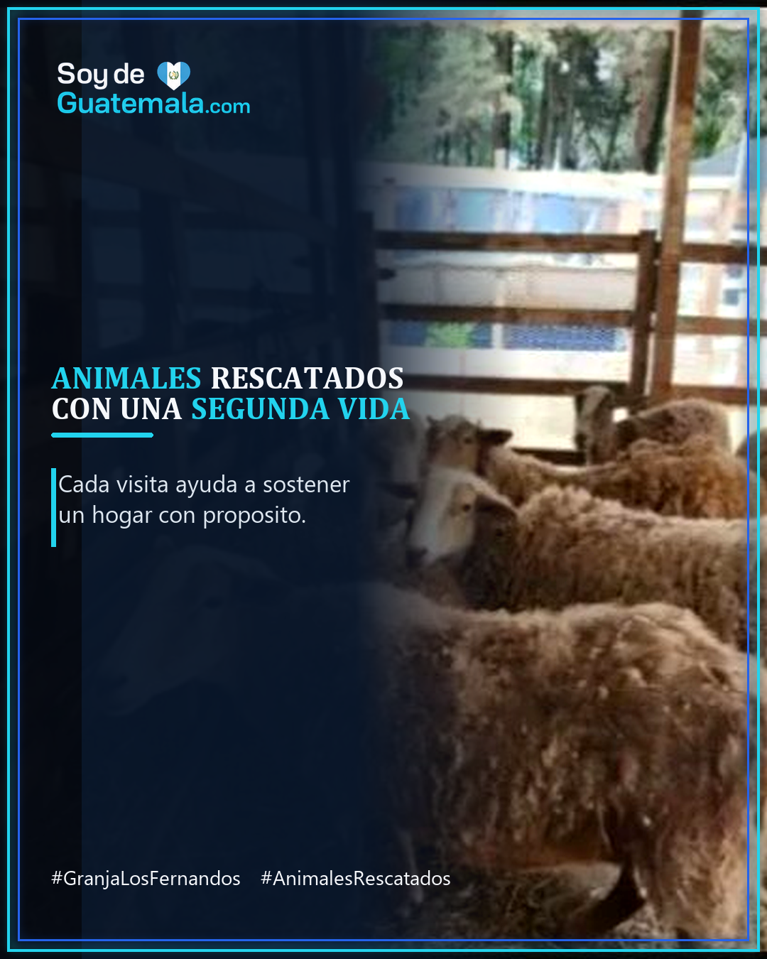 Granja Los Fernandos